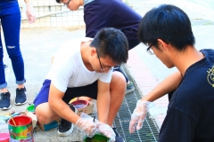 Image00016
